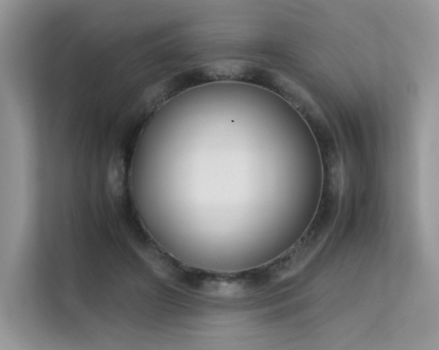 X0000112170498200908071201