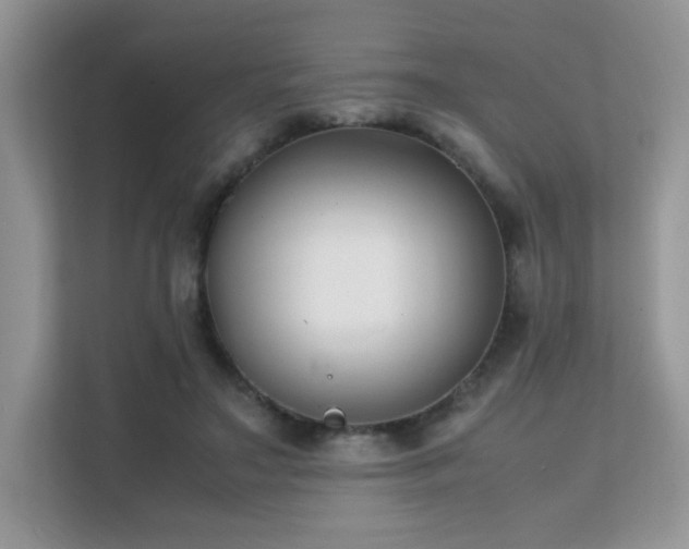 X0000112170499200908071201