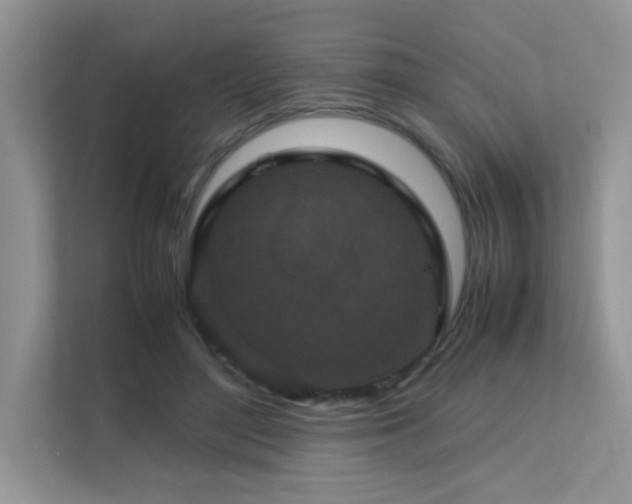 X0000112170500200908071201