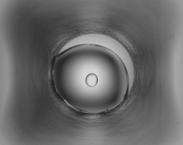 X0000112170501200908071201