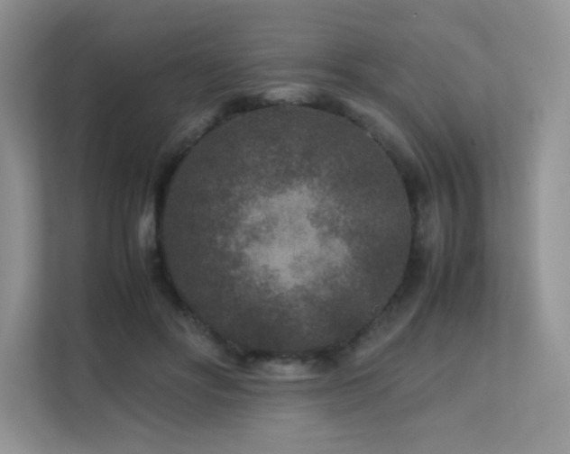 X0000112170502200908071201