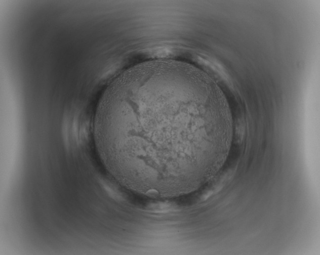 X0000112170503200908071201