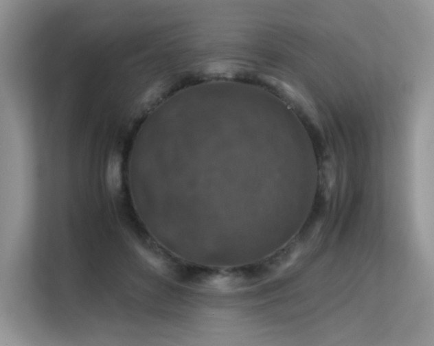 X0000112170504200908071201