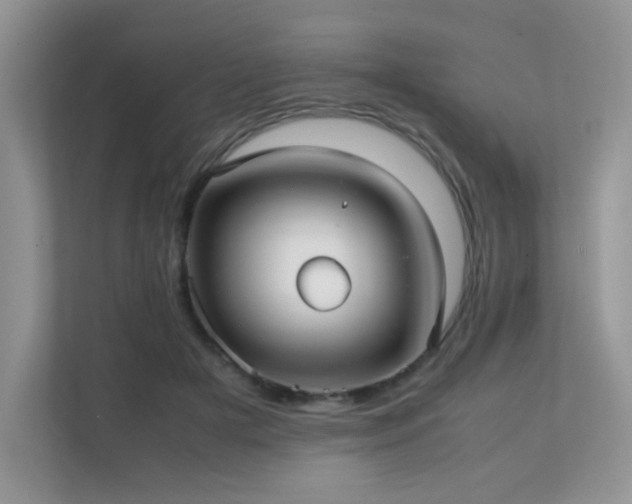 X0000112170505200908071201