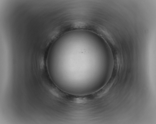 X0000112170508200908071201