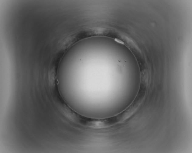 X0000112170509200908071201