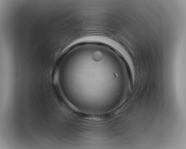 X0000112170512200908071201