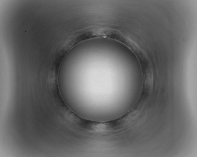 X0000112170513200908071201