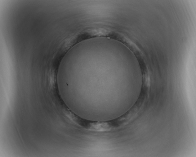 X0000112170517200908071201