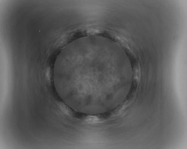 X0000112170519200908071201