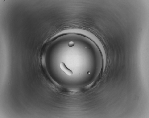 X0000112170520200908071201