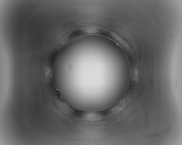 X0000112170521200908071201