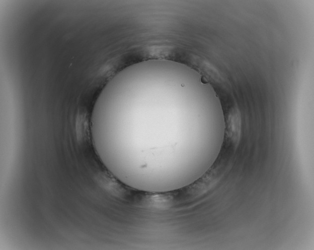 X0000112170522200908071201