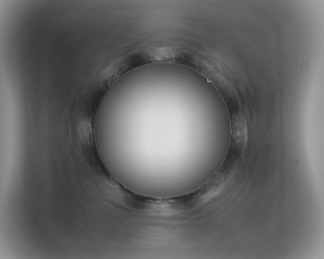 X0000112170523200908071201