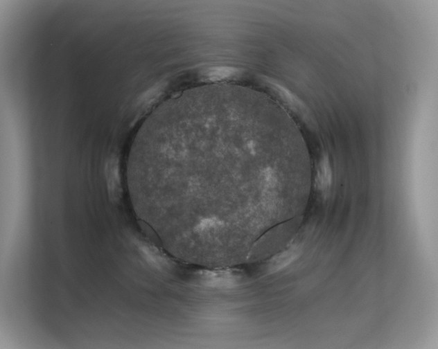 X0000112170524200908071201