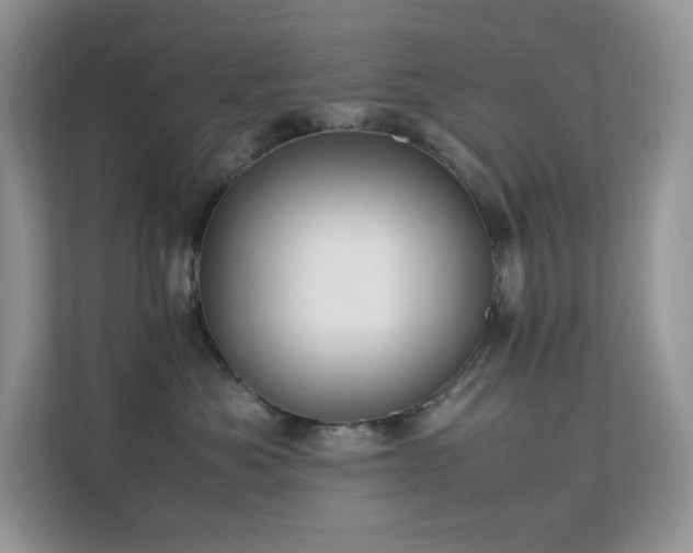 X0000112170525200908071201