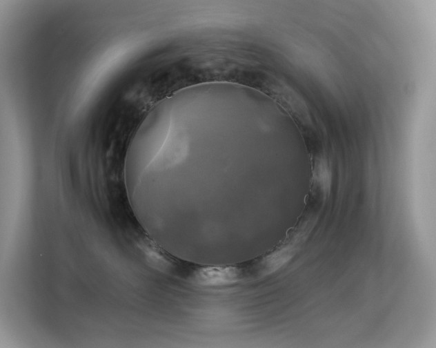 X0000112170526200908071201