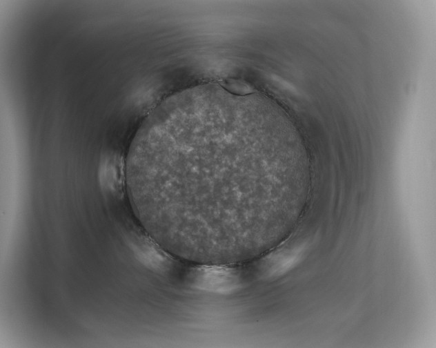 X0000112170528200908071201