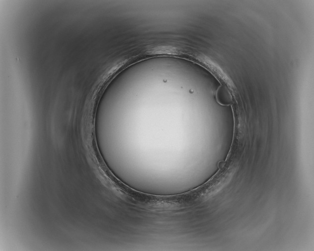 X0000112170529200908071200