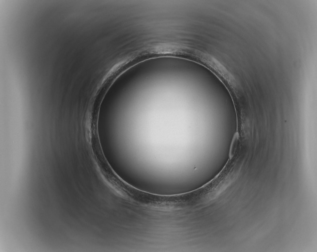 X0000112170530200908071200