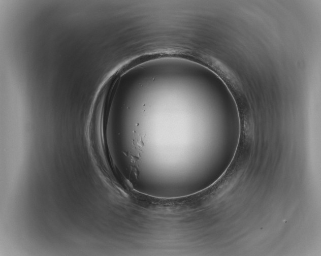 X0000112170532200908071200