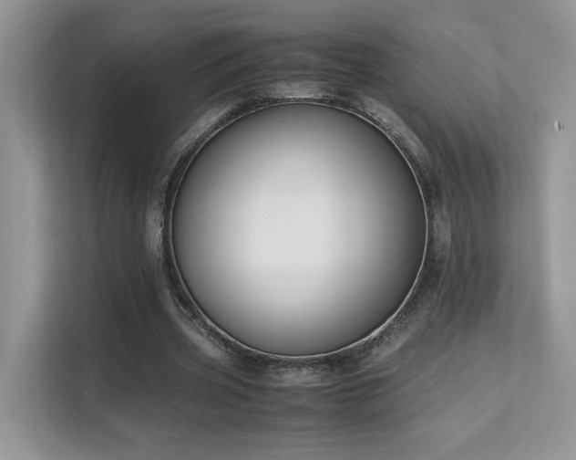 X0000112170533200908071200