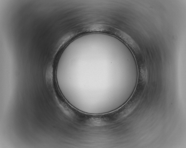 X0000112170534200908071200