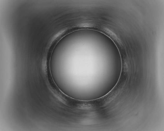 X0000112170535200908071200