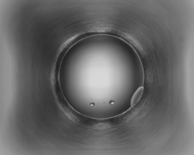 X0000112170536200908071200