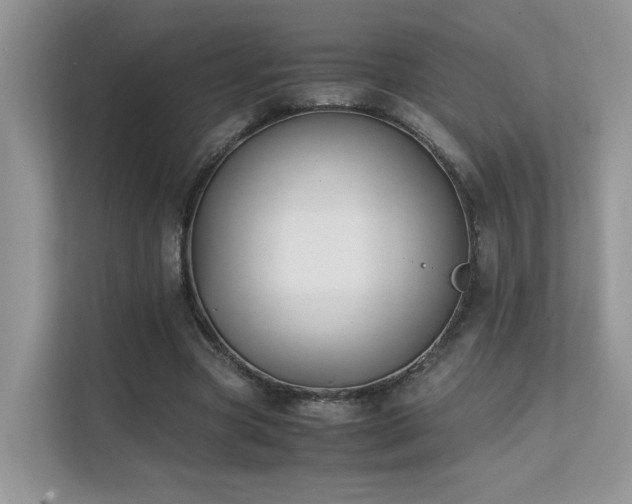 X0000112170537200908071200