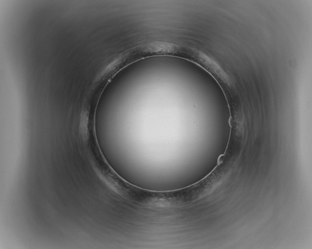 X0000112170538200908071200