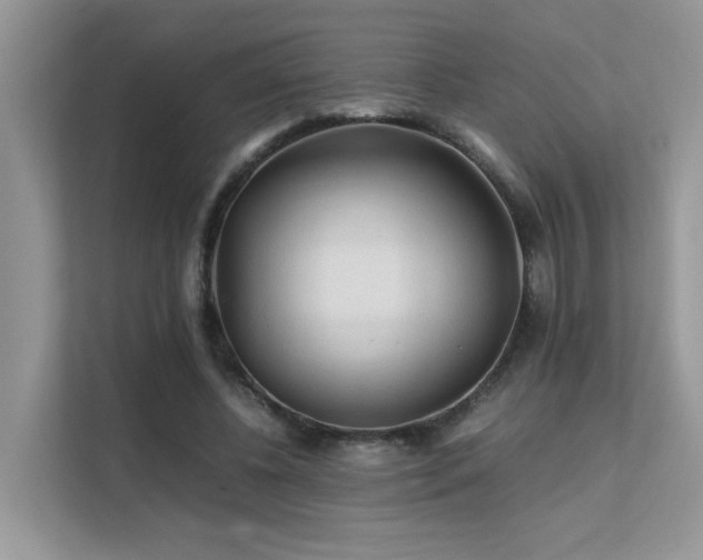 X0000112170540200908071200