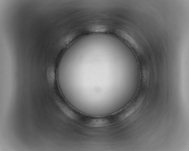 X0000112170541200908071200