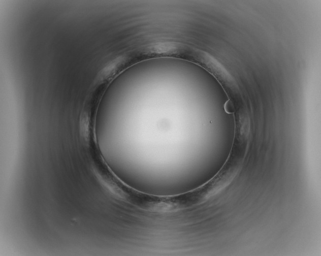 X0000112170542200908071200