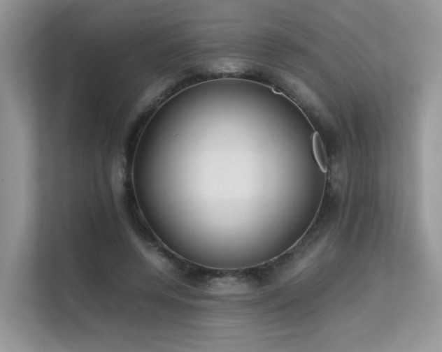 X0000112170544200908071200