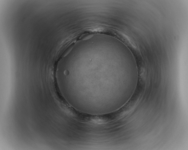 X0000112170547200908071200