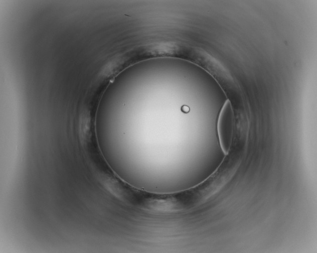 X0000112170548200908071200