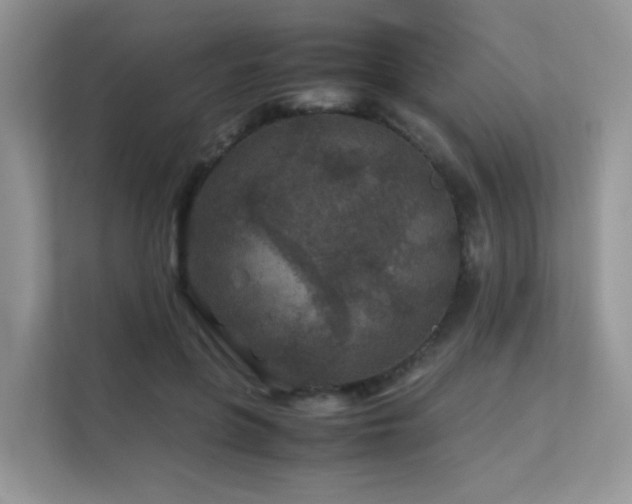 X0000112170551200908071200