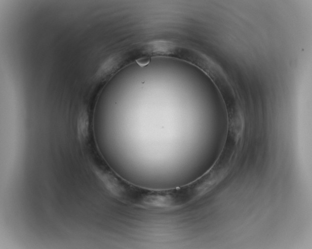 X0000112170552200908071200