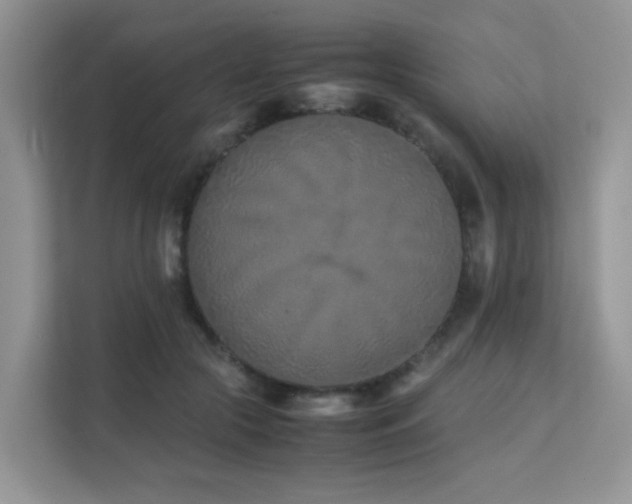 X0000112170553200908071200