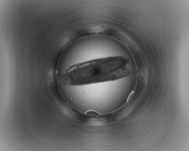 X0000112170556200908071200