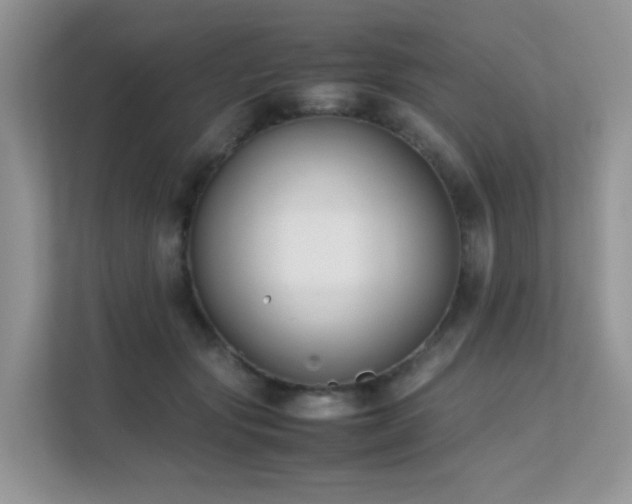 X0000112170557200908071200