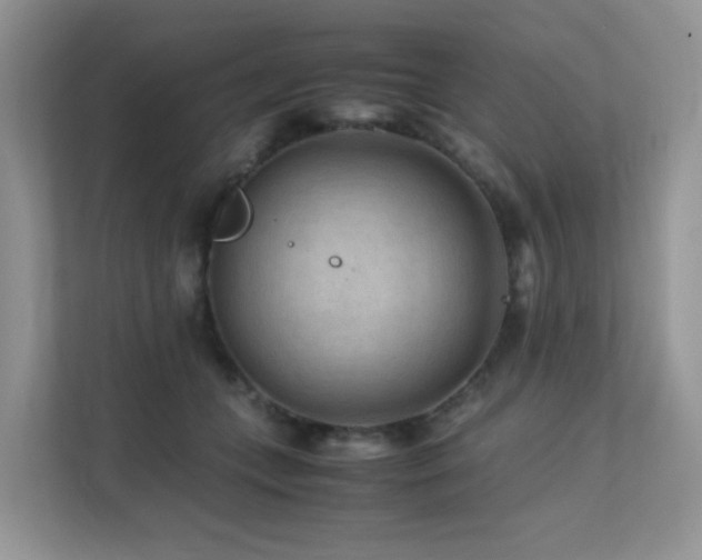 X0000112170559200908071200