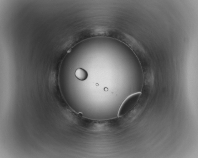 X0000112170560200908071200