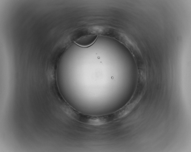 X0000112170561200908071200