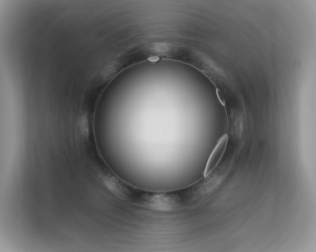 X0000112170562200908071200