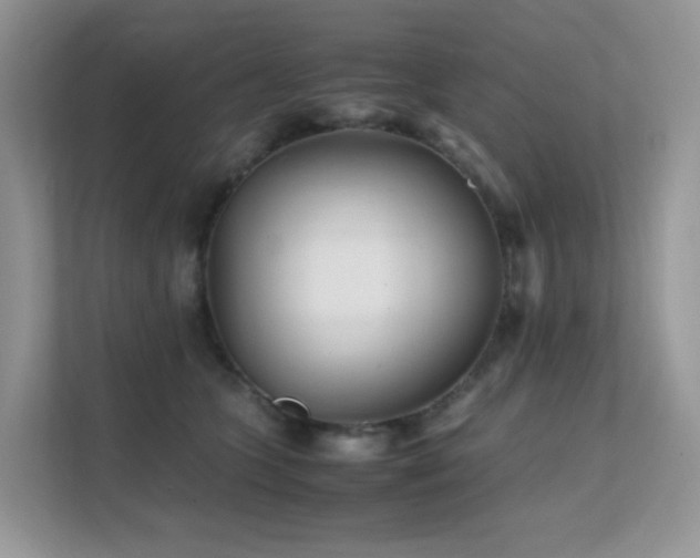 X0000112170563200908071200