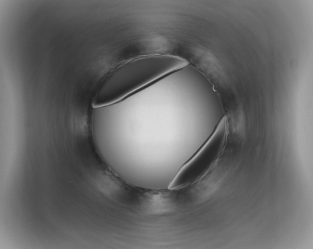 X0000112170564200908071200