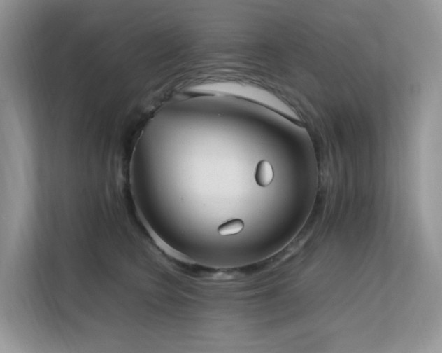 X0000112170566200908071200