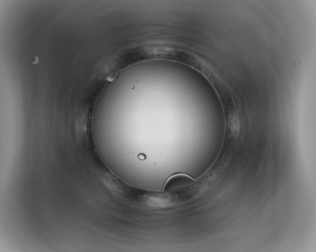 X0000112170567200908071200